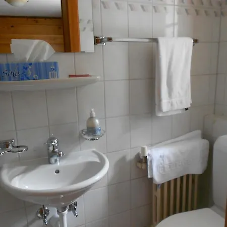 Hotel Mazot Zermatt 3*